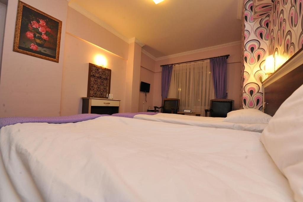 Basak Termal Hotel Kizilcahamam Ruang foto